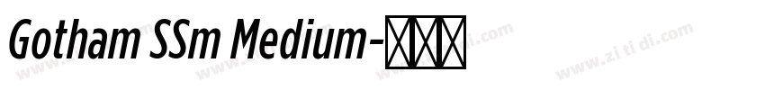 Gotham SSm Medium字体转换
